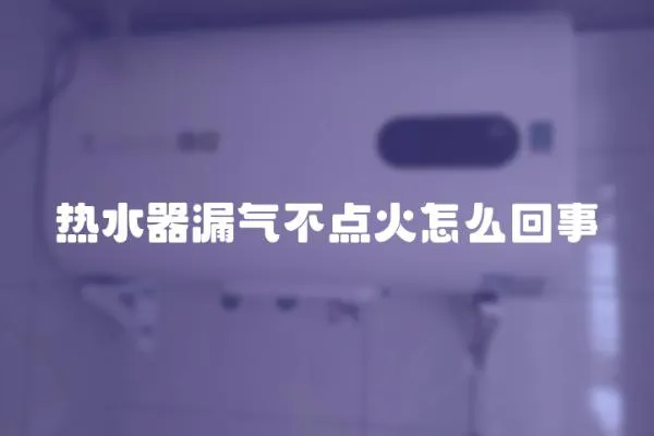 熱水器漏氣不點火怎么回事