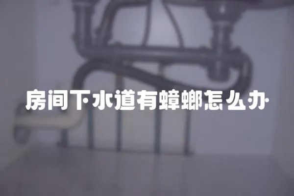 房間下水道有蟑螂怎么辦