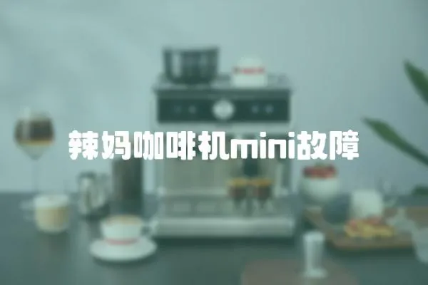 辣妈咖啡机mini故障