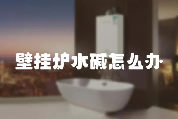 壁掛爐水堿怎么辦