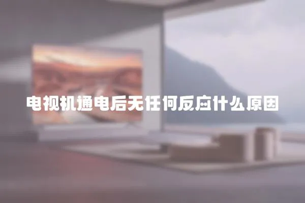電視機通電后無任何反應什么原因