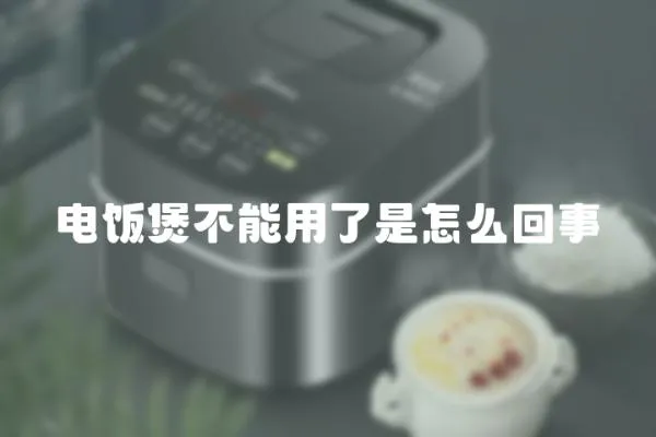 電飯煲不能用了是怎么回事