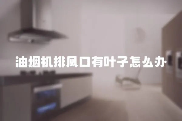 油煙機排風口有葉子怎么辦