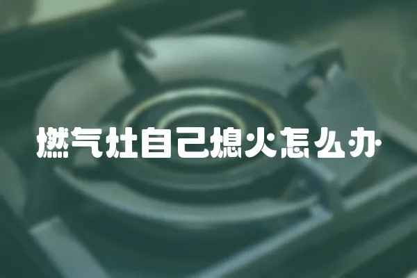 燃?xì)庠钭约合ɑ鹪趺崔k