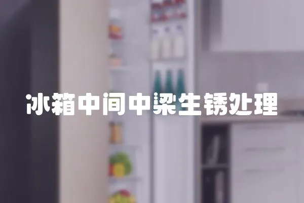 冰箱中間中梁生銹處理