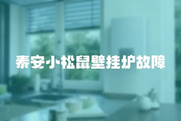 泰安小松鼠壁掛爐故障