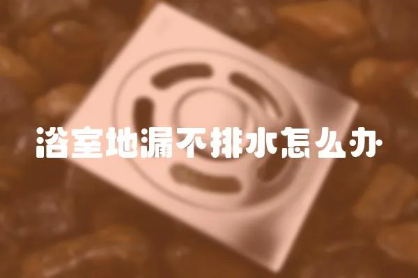 浴室地漏不排水怎么辦