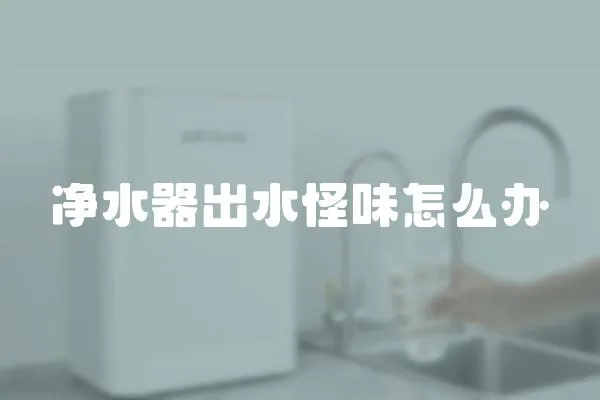 凈水器出水怪味怎么辦