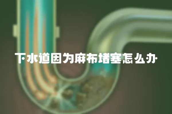 下水道因為麻布堵塞怎么辦