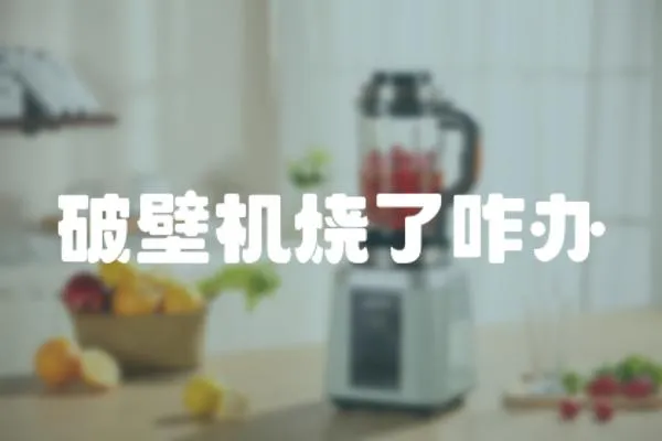 破壁機(jī)燒了咋辦