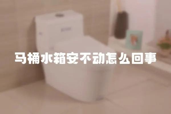 馬桶水箱安不動怎么回事