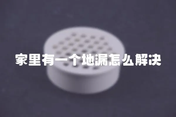 家里有一個(gè)地漏怎么解決