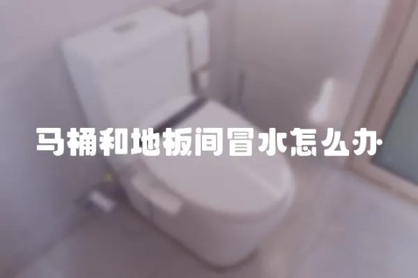 馬桶和地板間冒水怎么辦