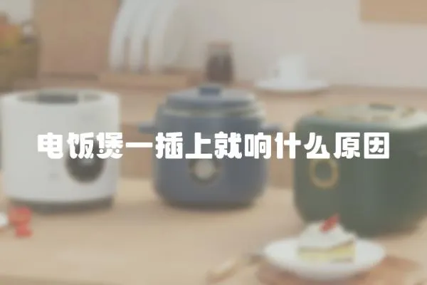 電飯煲一插上就響什么原因