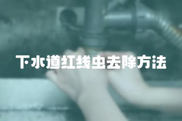 下水道紅線蟲去除方法