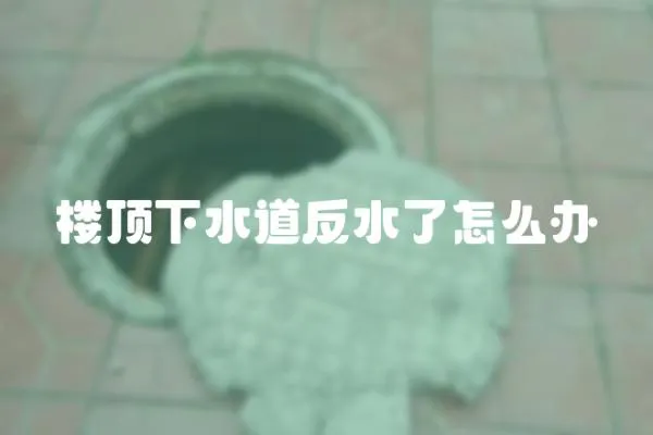 樓頂下水道反水了怎么辦