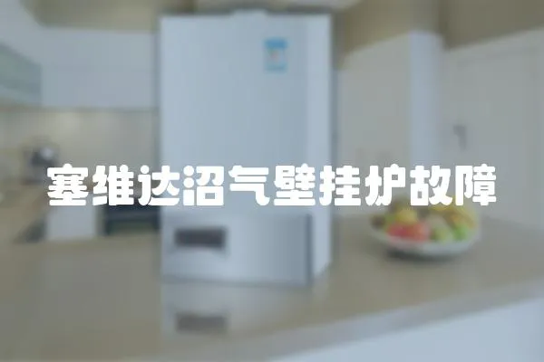 塞維達沼氣壁掛爐故障