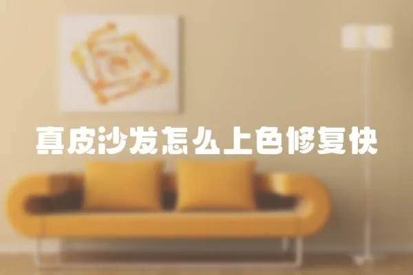 真皮沙發怎么上色修復快
