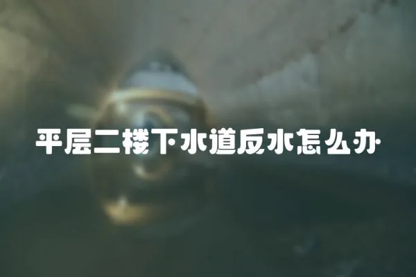 平層二樓下水道反水怎么辦