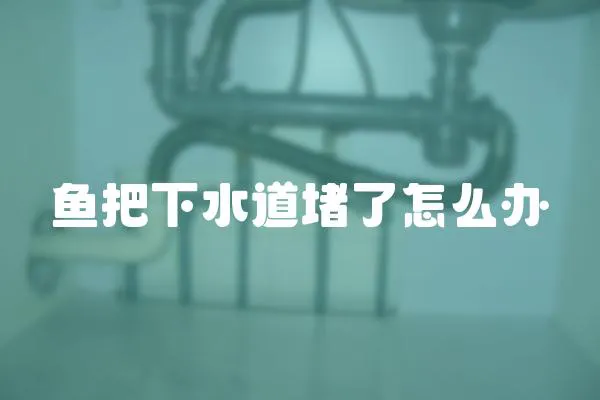 魚把下水道堵了怎么辦