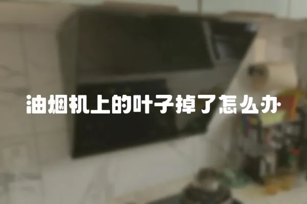 油煙機上的葉子掉了怎么辦