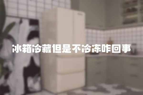 冰箱冷藏但是不冷凍咋回事
