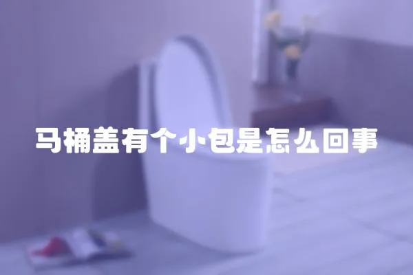 马桶盖有个小包是怎么回事
