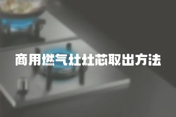 商用燃?xì)庠钤钚救〕龇椒?></a></div>
                    </div>
                    <div   id=