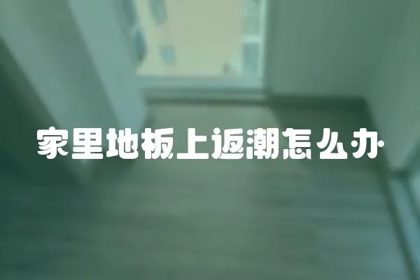 家里地板上返潮怎么辦