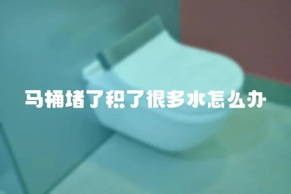 馬桶堵了積了很多水怎么辦