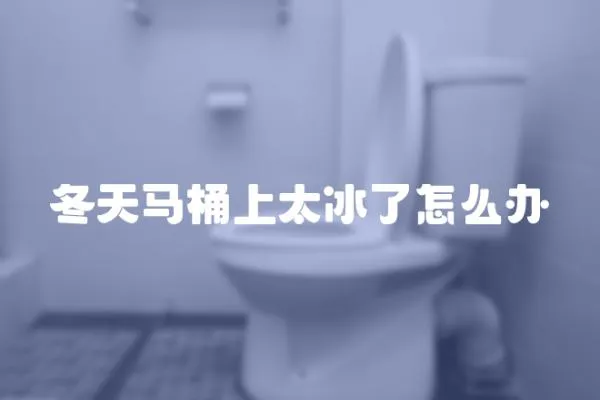 冬天馬桶上太冰了怎么辦
