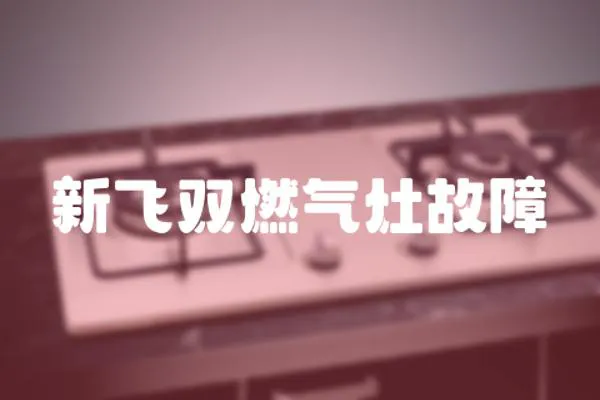 新飛雙燃氣灶故障