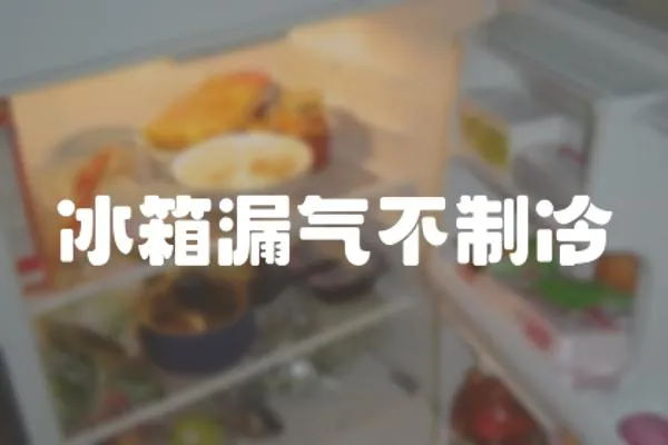 冰箱漏氣不制冷