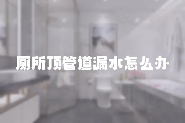 廁所頂管道漏水怎么辦