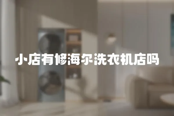 小店有修海爾洗衣機店嗎