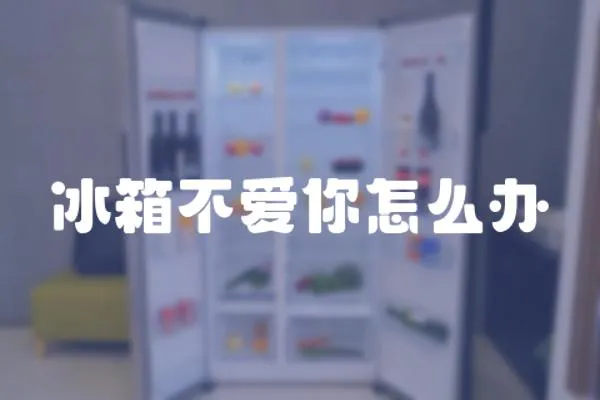 冰箱不愛你怎么辦