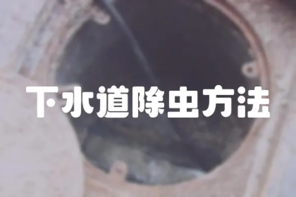下水道除蟲方法