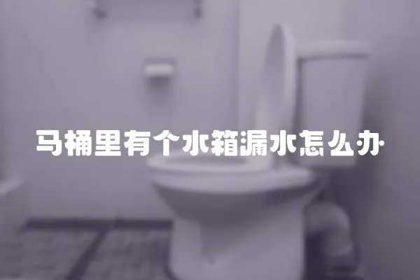 馬桶里有個水箱漏水怎么辦