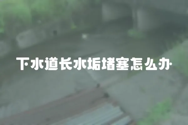 下水道長水垢堵塞怎么辦