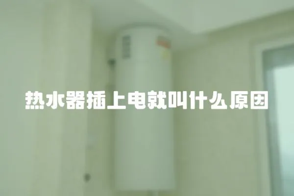 熱水器插上電就叫什么原因