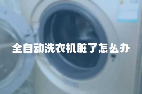 全自動洗衣機臟了怎么辦