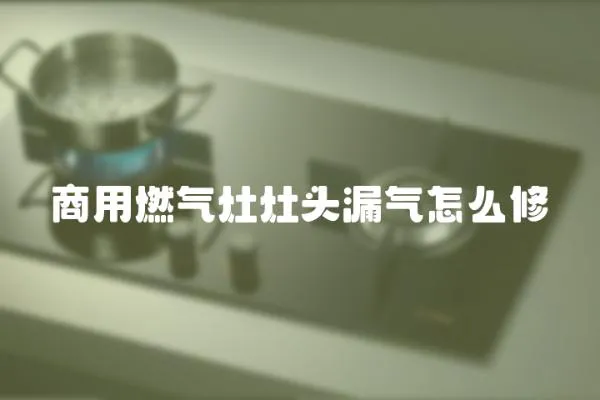 商用燃?xì)庠钤铑^漏氣怎么修