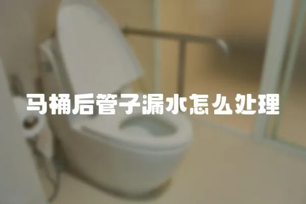 馬桶后管子漏水怎么處理