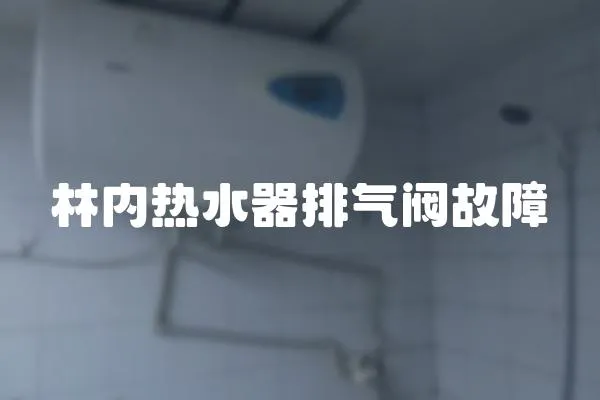 林內熱水器排氣閥故障