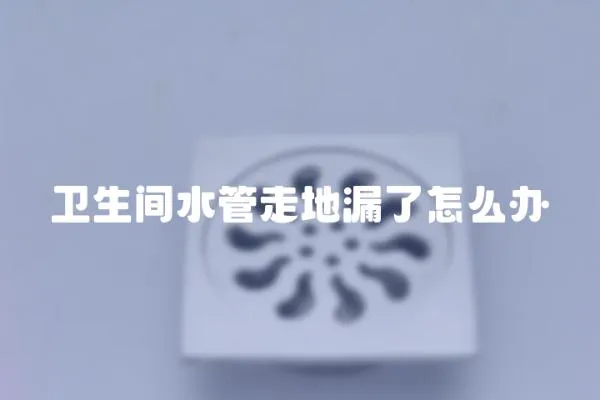 卫生间水管走地漏了怎么办