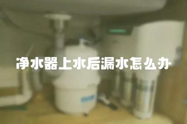 凈水器上水后漏水怎么辦