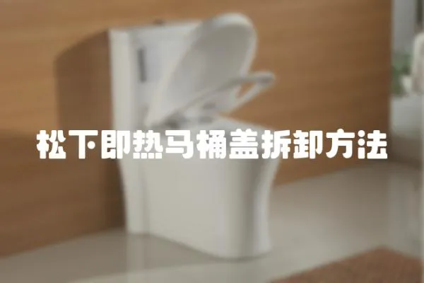 松下即熱馬桶蓋拆卸方法