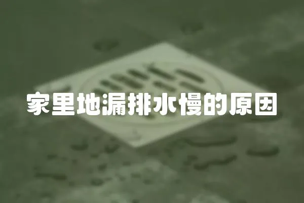 家里地漏排水慢的原因