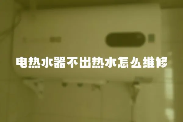 電熱水器不出熱水怎么維修