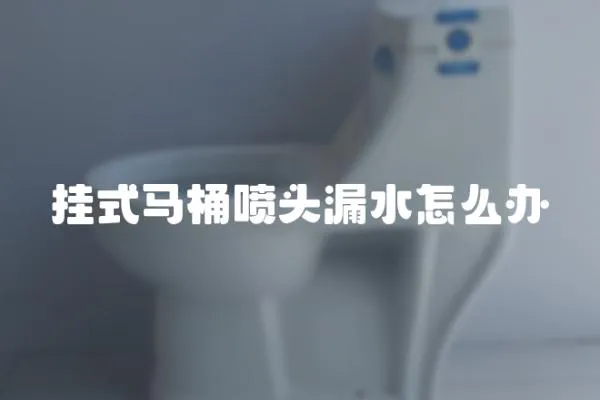 掛式馬桶噴頭漏水怎么辦